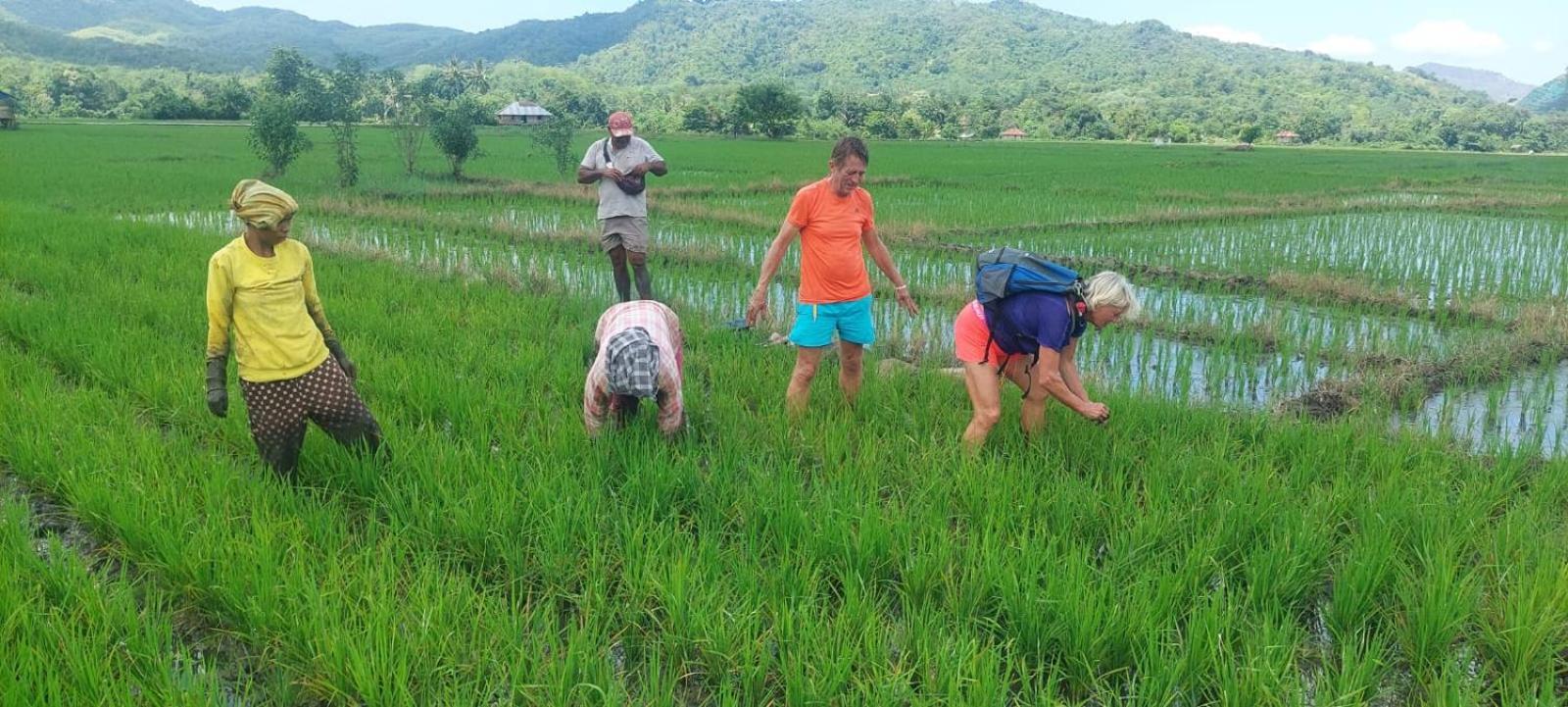 Inang Amang Homestay Labuan Bajo Dış mekan fotoğraf